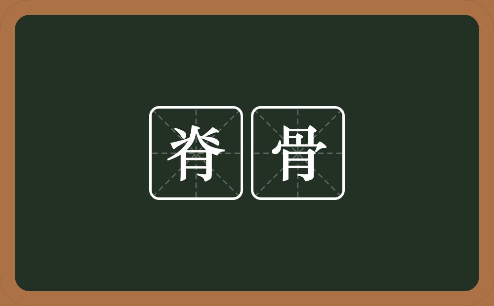 脊骨的意思？脊骨是什么意思？