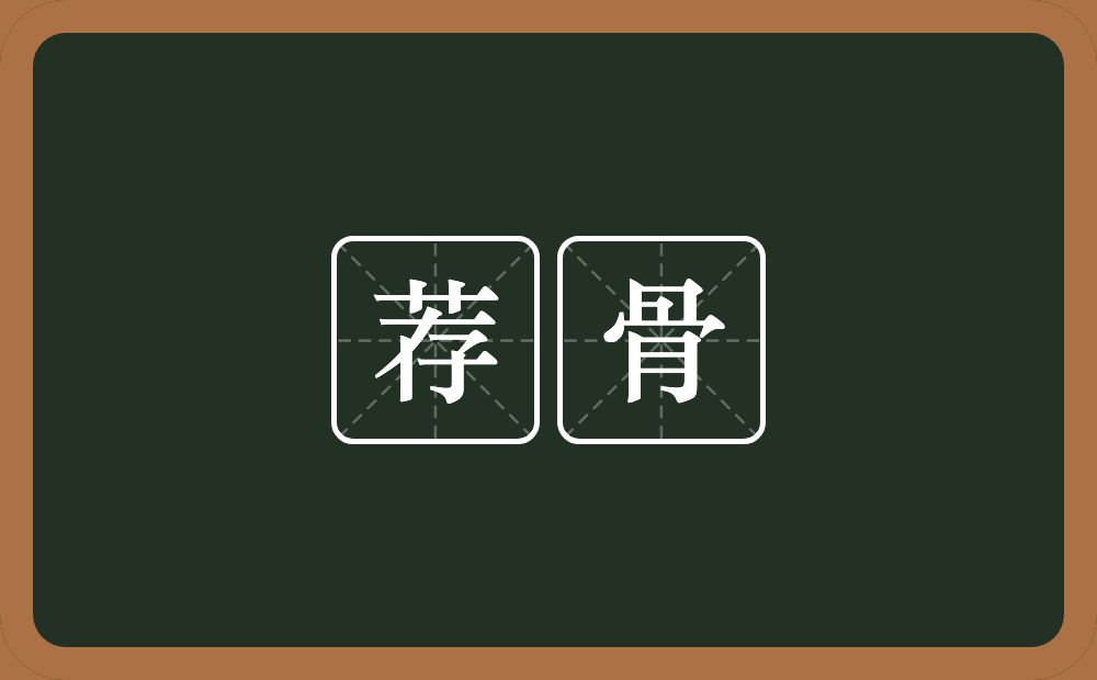 荐骨的意思？荐骨是什么意思？