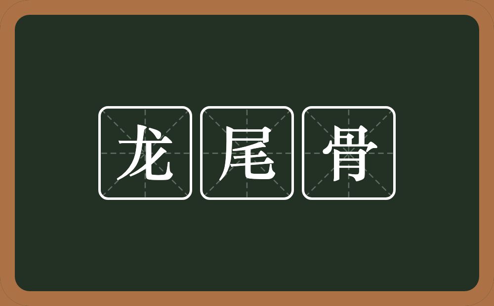 龙尾骨的意思？龙尾骨是什么意思？