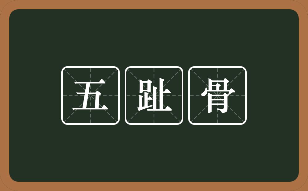 五趾骨的意思？五趾骨是什么意思？