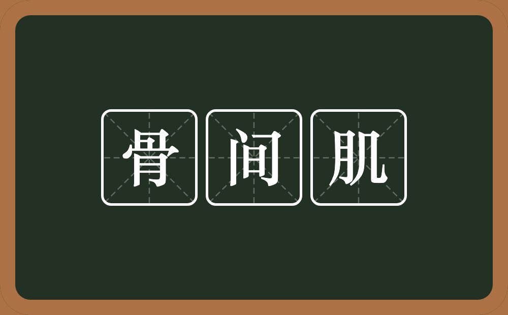 骨间肌的意思？骨间肌是什么意思？