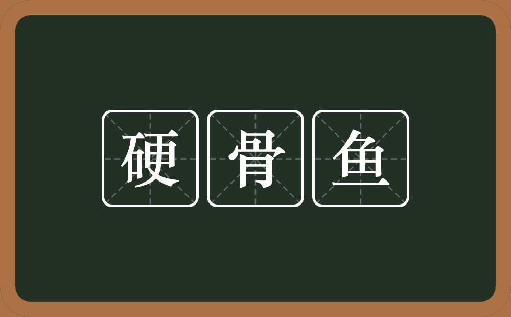 硬骨鱼的意思？硬骨鱼是什么意思？