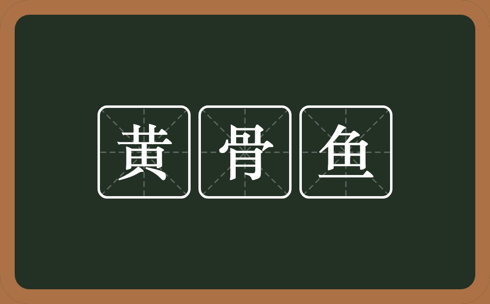黄骨鱼的意思？黄骨鱼是什么意思？