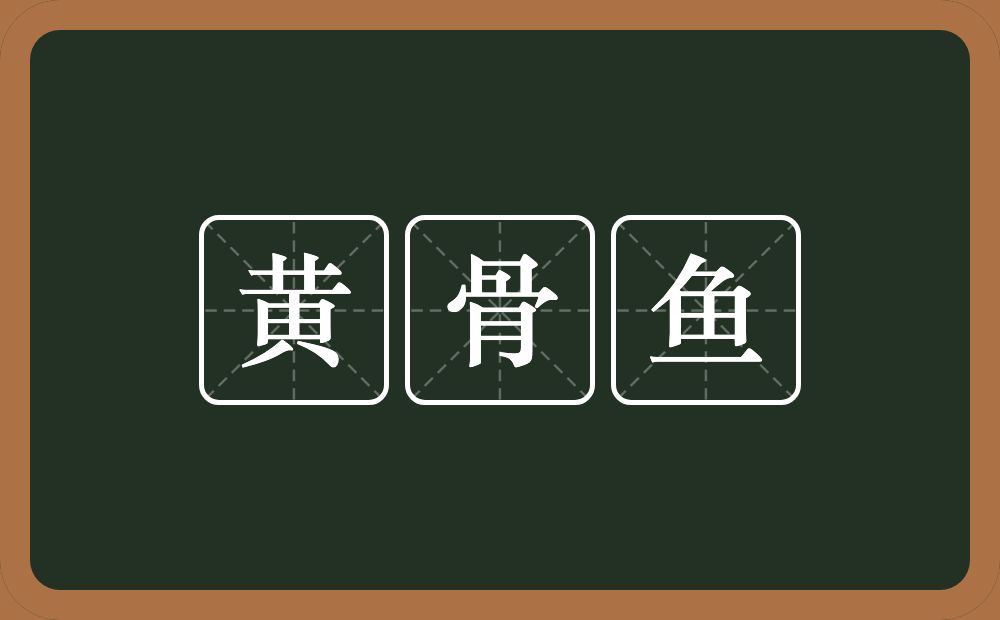 黄骨鱼的意思？黄骨鱼是什么意思？