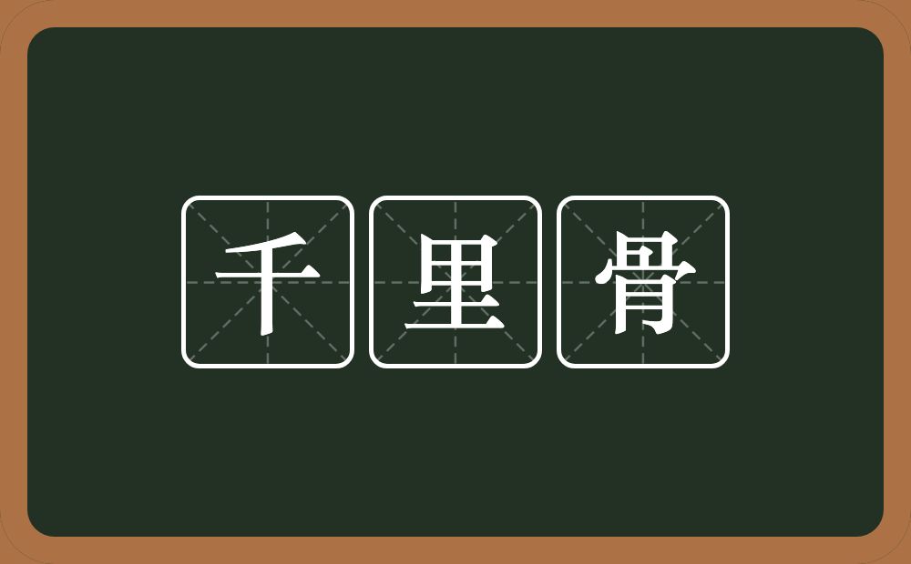 千里骨的意思？千里骨是什么意思？