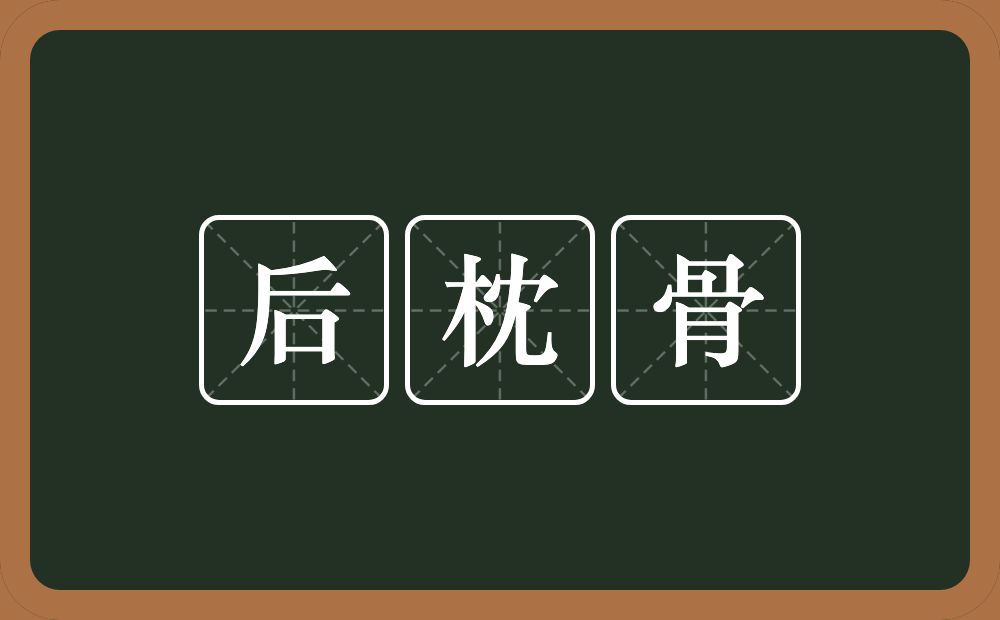 后枕骨的意思？后枕骨是什么意思？