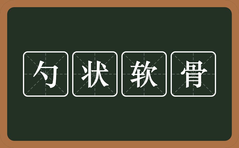 勺状软骨的意思？勺状软骨是什么意思？