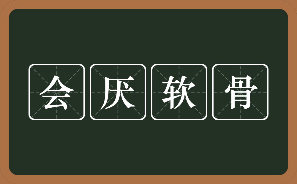 会厌软骨的意思？会厌软骨是什么意思？