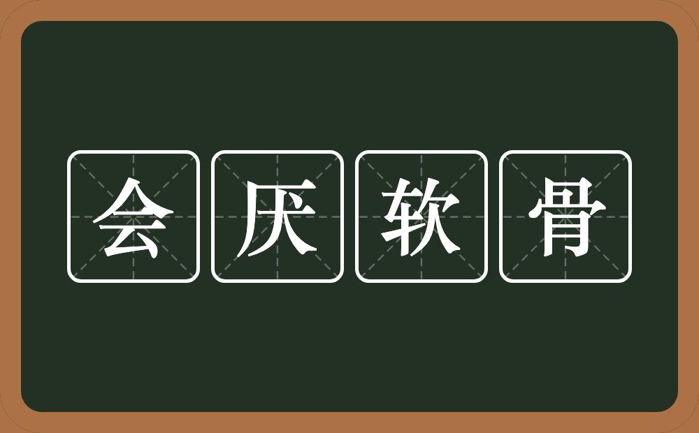 会厌软骨的意思？会厌软骨是什么意思？