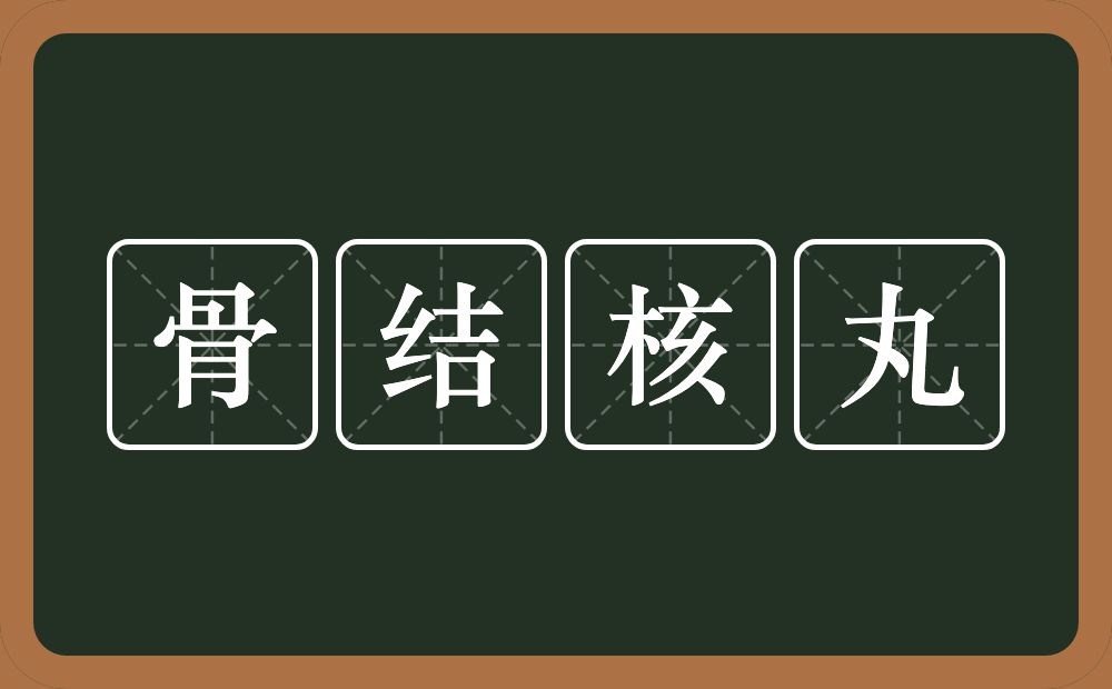 骨结核丸的意思？骨结核丸是什么意思？