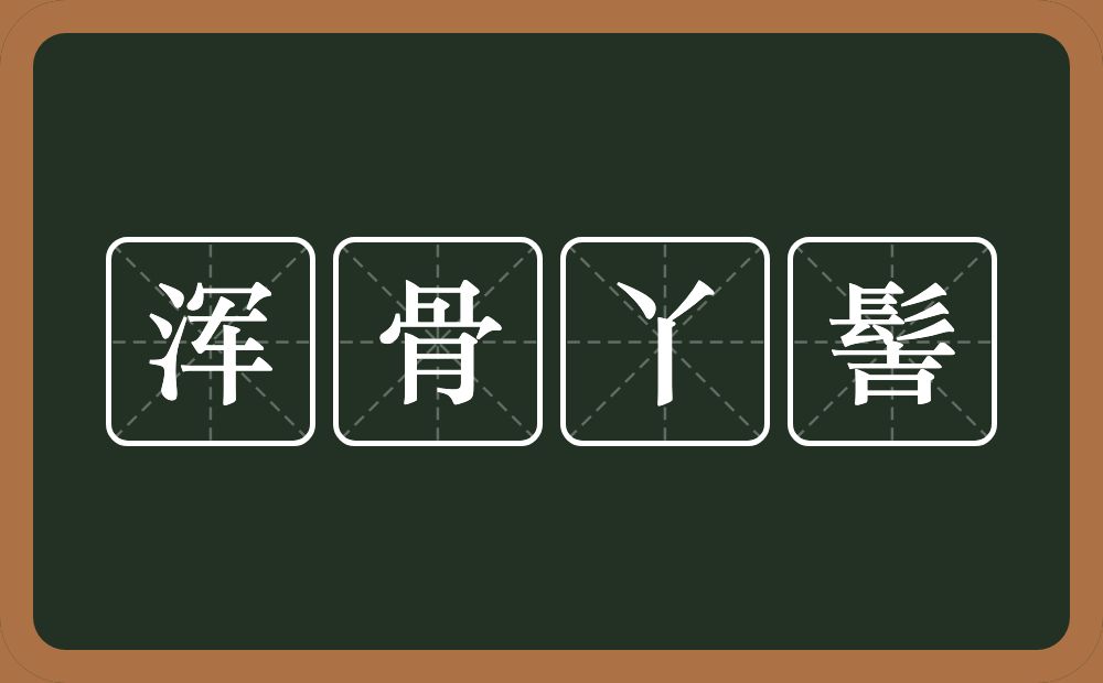 浑骨丫髻的意思？浑骨丫髻是什么意思？