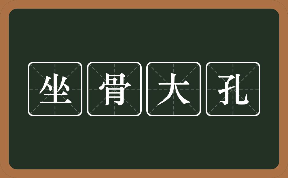 坐骨大孔的意思？坐骨大孔是什么意思？