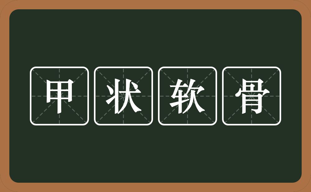 甲状软骨的意思？甲状软骨是什么意思？