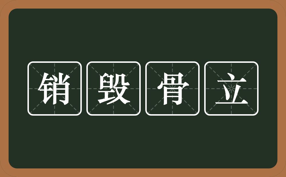 销毁骨立的意思？销毁骨立是什么意思？