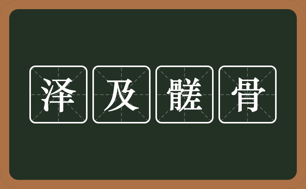 泽及髊骨的意思？泽及髊骨是什么意思？