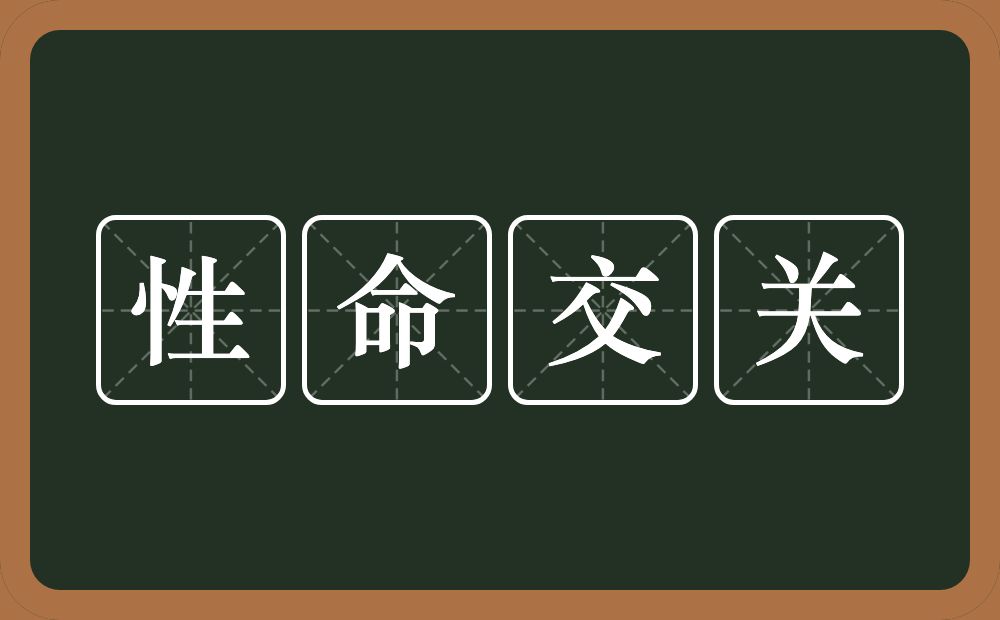 性命交关的意思?性命交关是什么意思?
