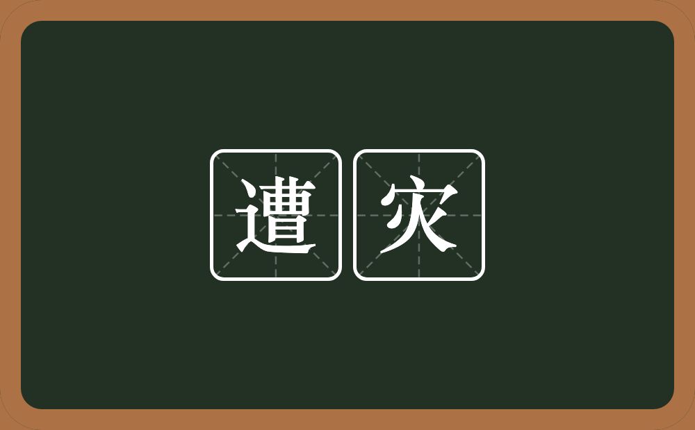 遭灾的意思？遭灾是什么意思？