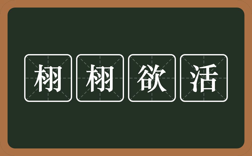 栩栩欲活的意思？栩栩欲活是什么意思？