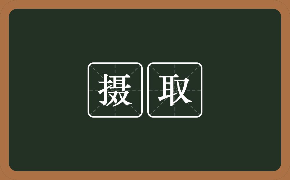 摄取的意思?摄取是什么意思?