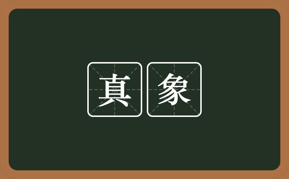 真象的意思?真象是什么意思?