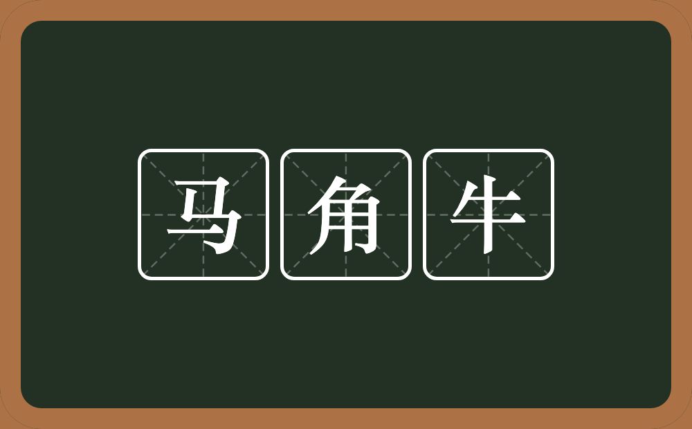 马角牛的意思？马角牛是什么意思？