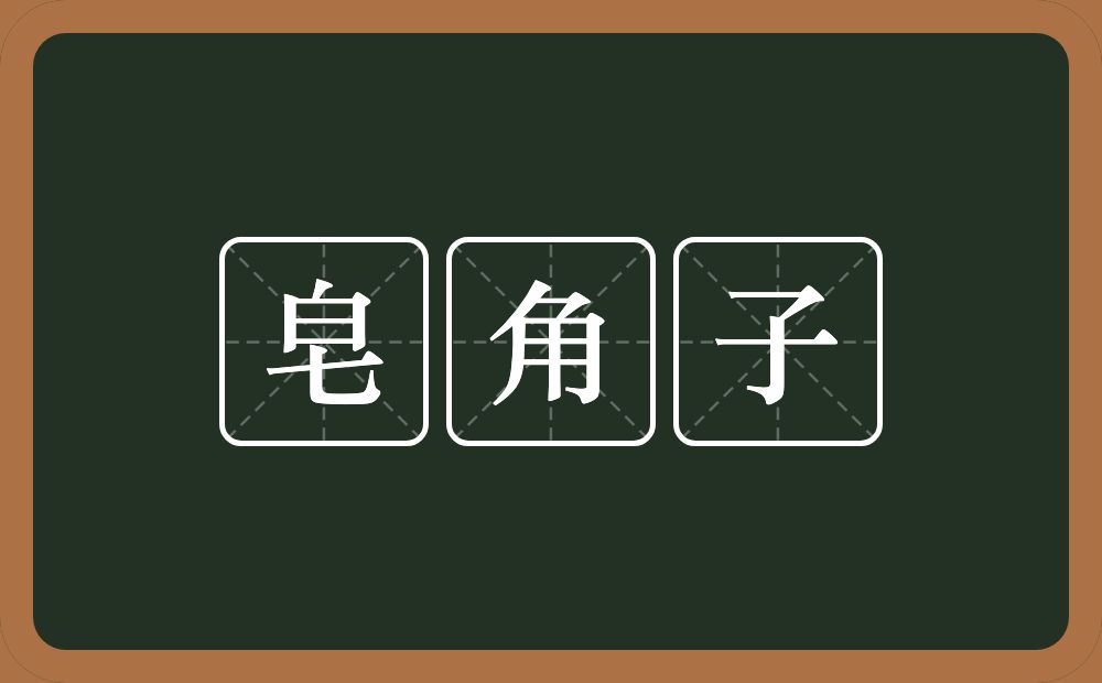 皂角子的意思？皂角子是什么意思？