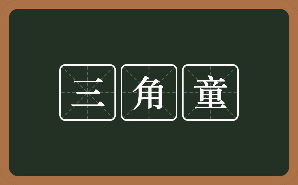 三角童的意思？三角童是什么意思？