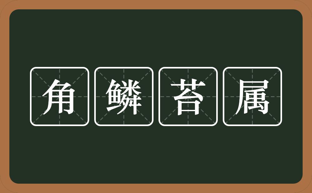 角鳞苔属的意思？角鳞苔属是什么意思？