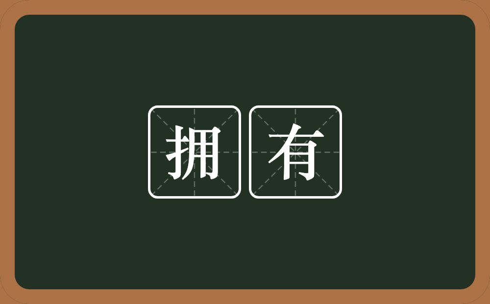拥有的意思?拥有是什么意思?