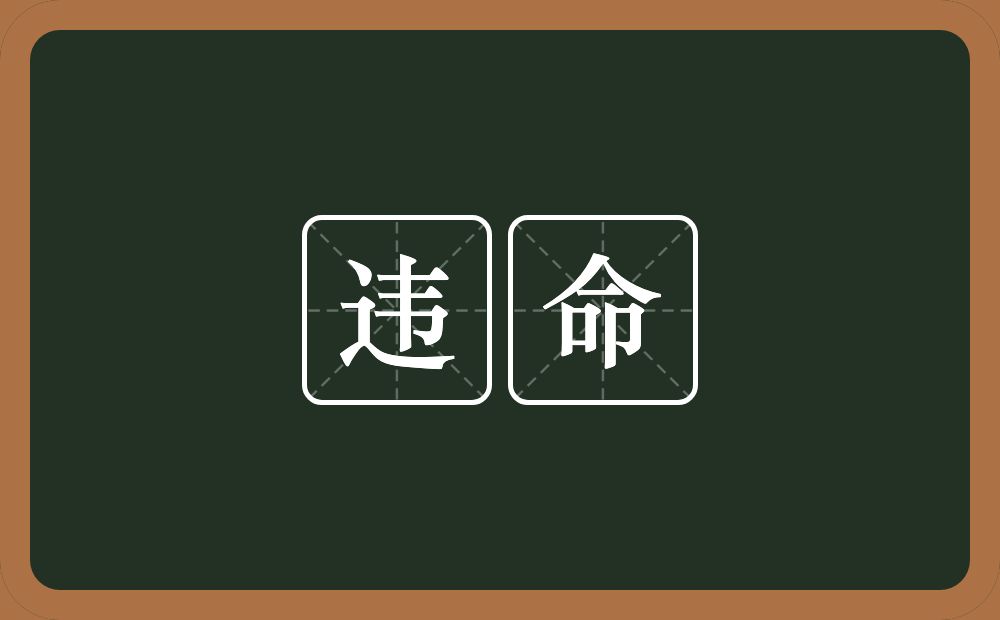 违命的意思?违命是什么意思?