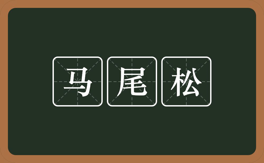 马尾松的意思？马尾松是什么意思？