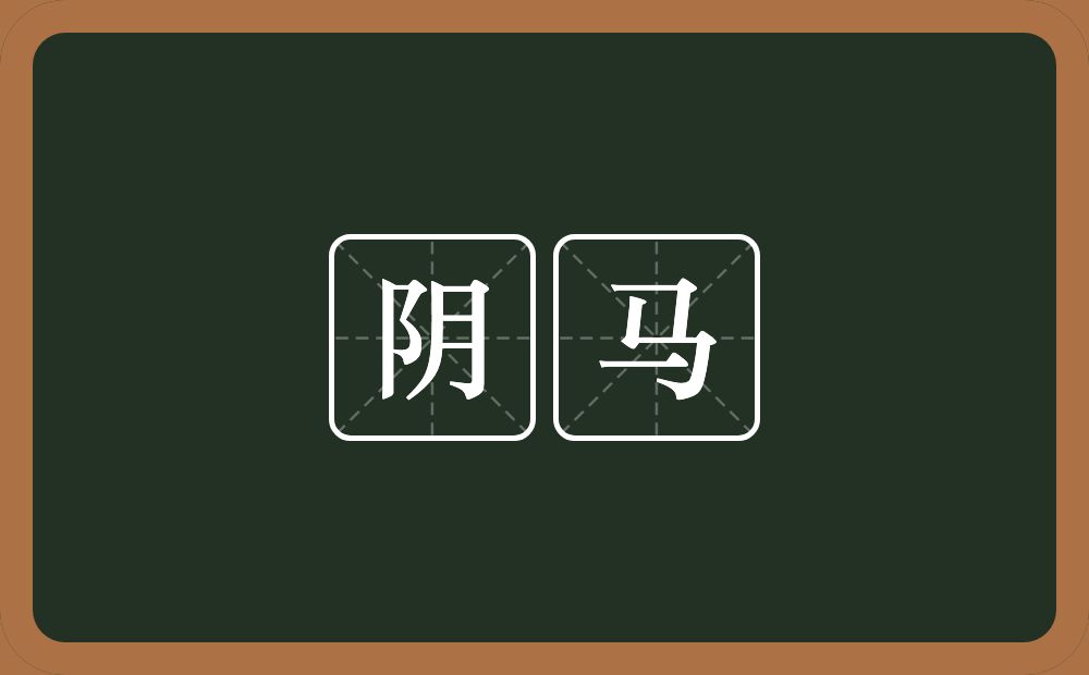 阴马的意思？阴马是什么意思？