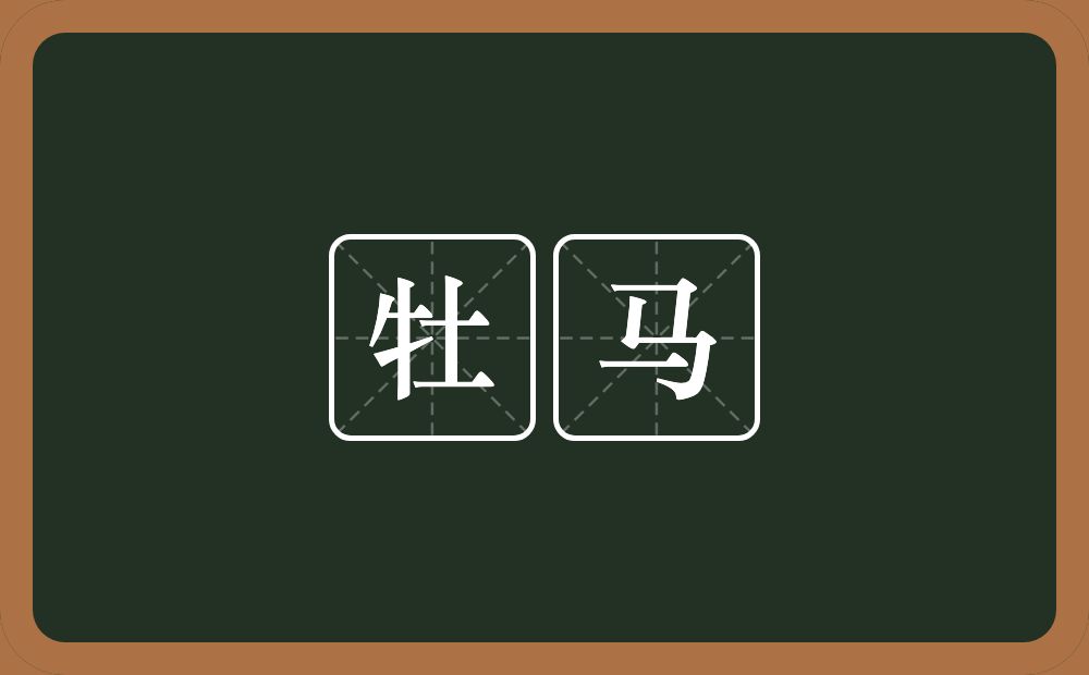 牡马的意思？牡马是什么意思？