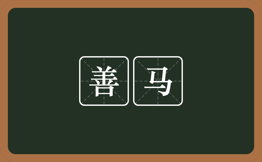 善马的意思？善马是什么意思？