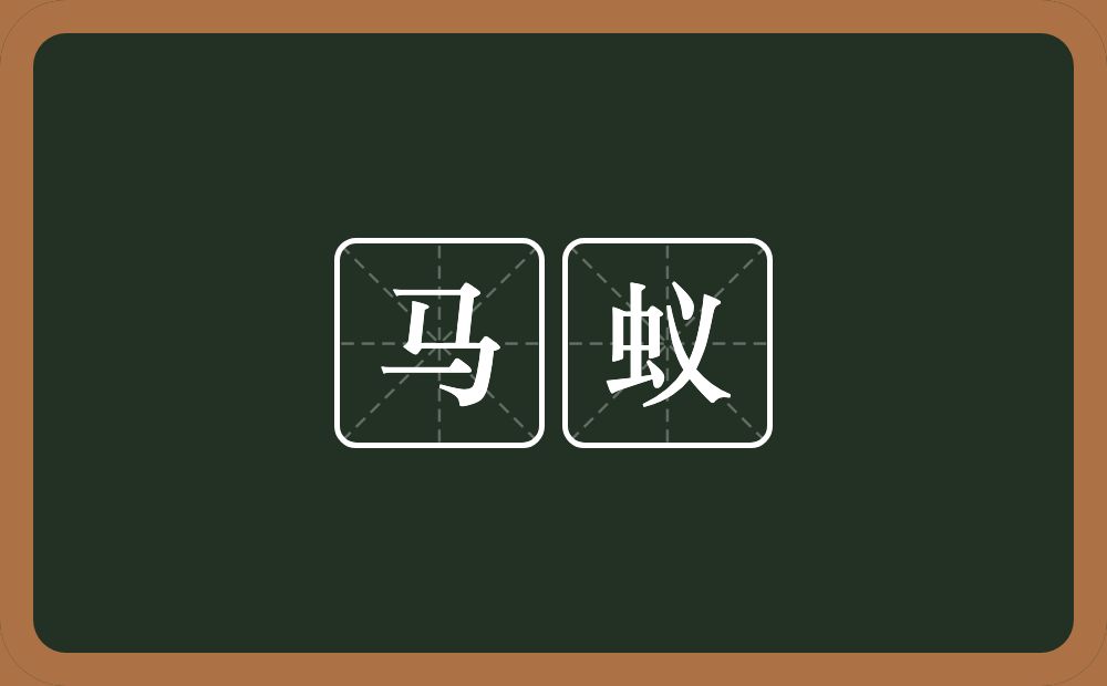 马蚁的意思?马蚁是什么意思?
