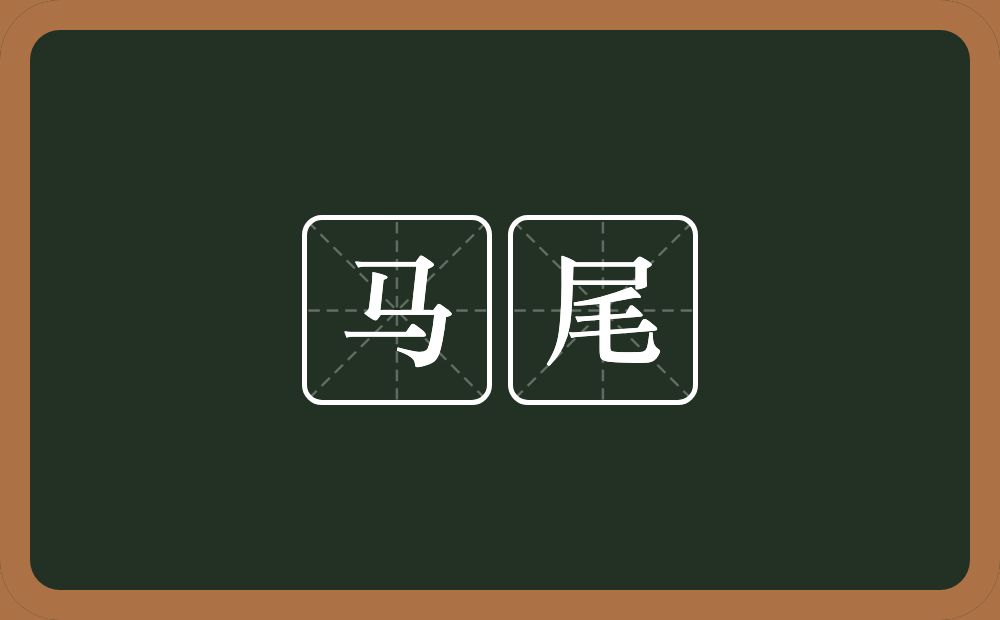 马尾的意思?马尾是什么意思?