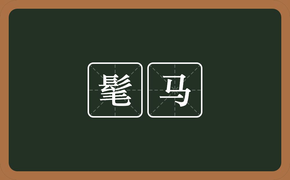 髦马的意思?髦马是什么意思?