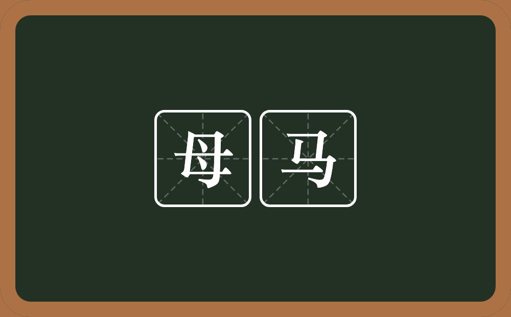 母马的意思？母马是什么意思？