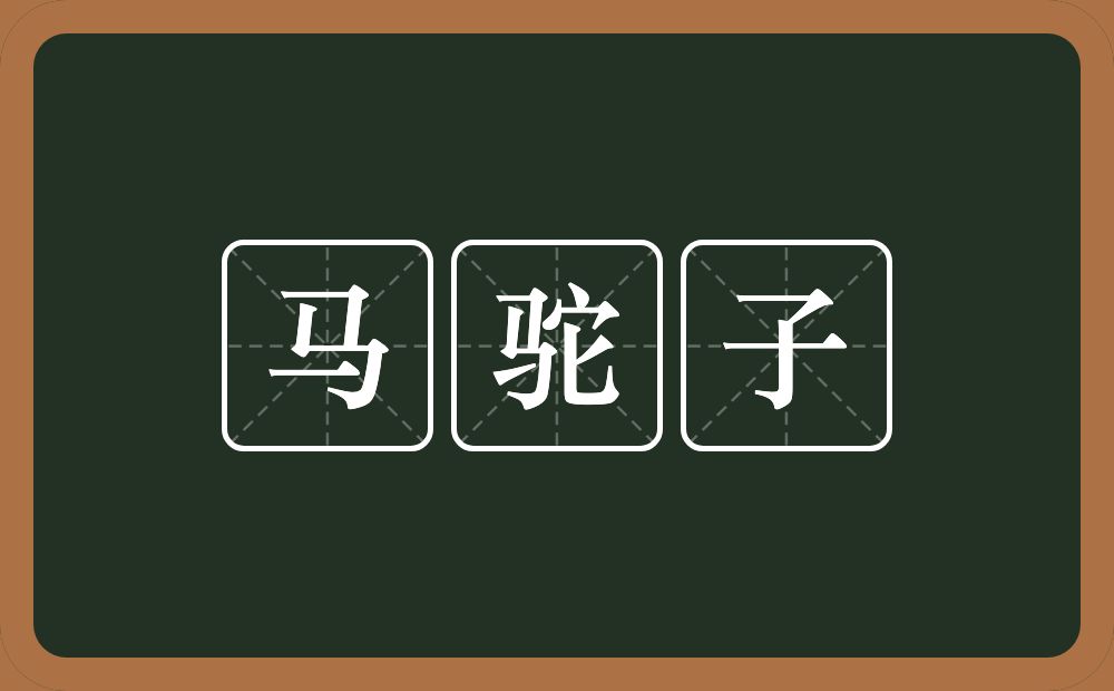 马驼子的意思？马驼子是什么意思？