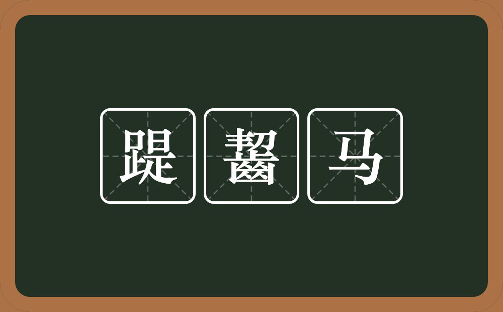 踶齧马的意思？踶齧马是什么意思？