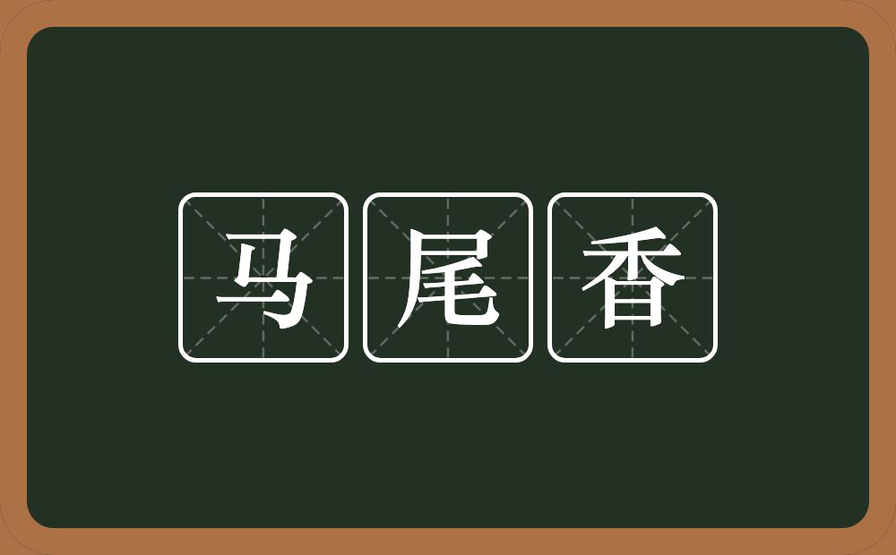 马尾香的意思？马尾香是什么意思？