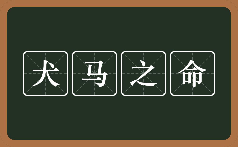 犬马之命的意思？犬马之命是什么意思？