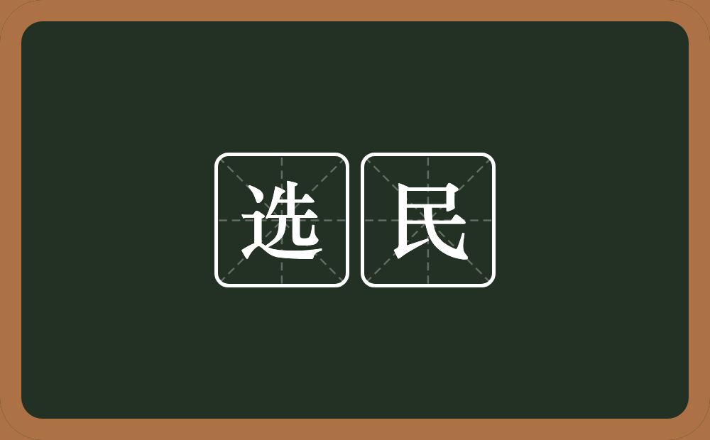 选民的意思？选民是什么意思？