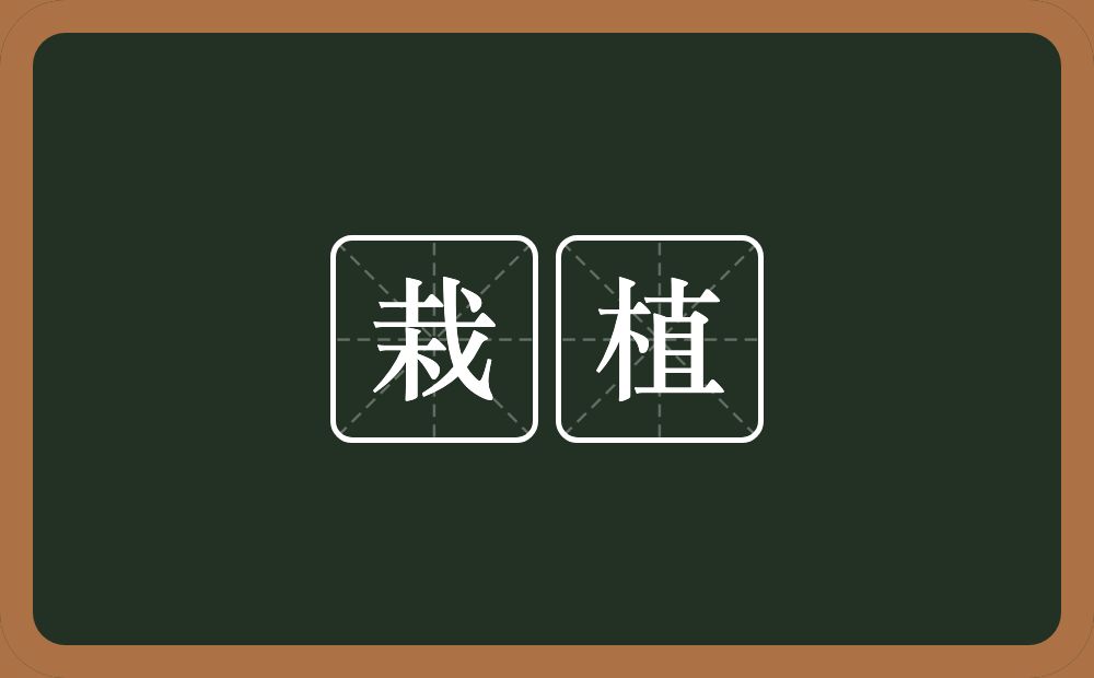 栽植的意思?栽植是什么意思?