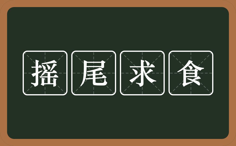 摇尾求食的意思?摇尾求食是什么意思?