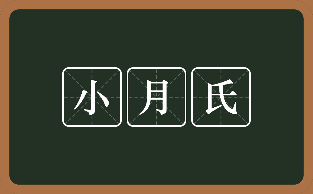 小月氏的意思？小月氏是什么意思？