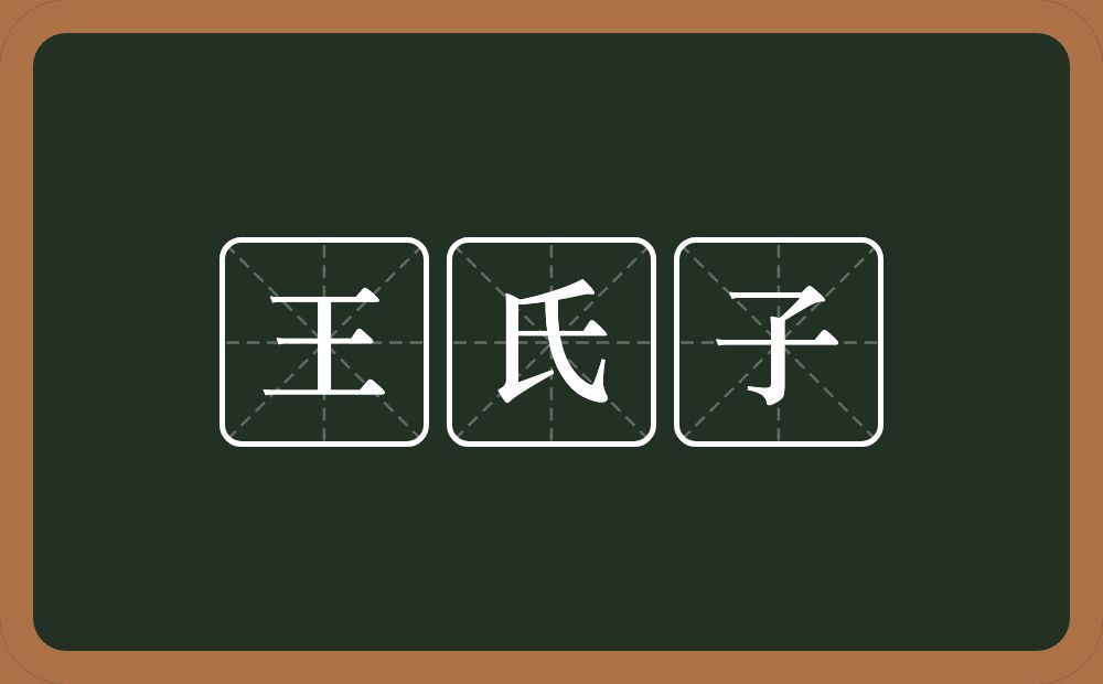 王氏子的意思？王氏子是什么意思？