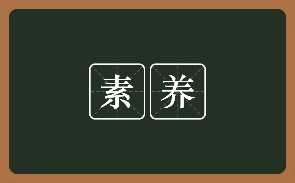 素养的意思?素养是什么意思?
