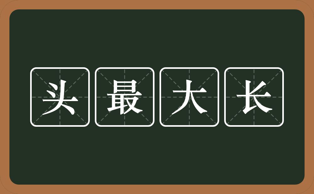 头最大长的意思？头最大长是什么意思？