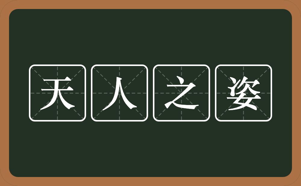 天人之姿的意思？天人之姿是什么意思？